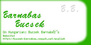 barnabas bucsek business card